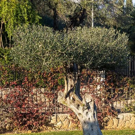 Sorellina Villa