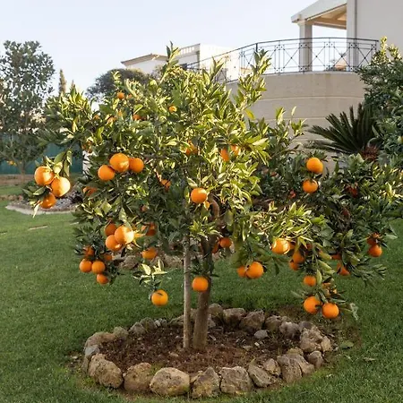 Sorellina Villa Gouvia